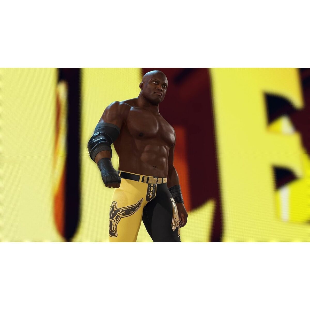 81Er_rCyj1L._AC_SL1500